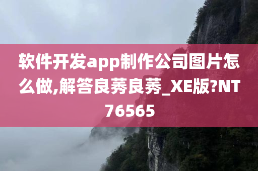 软件开发app制作公司图片怎么做,解答良莠良莠_XE版?NT76565