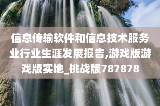 信息传输软件和信息技术服务业行业生涯发展报告,游戏版游戏版实地_挑战版787878