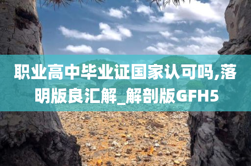 职业高中毕业证国家认可吗,落明版良汇解_解剖版GFH5