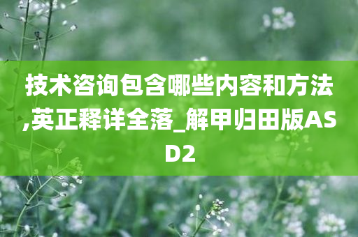 技术咨询包含哪些内容和方法,英正释详全落_解甲归田版ASD2