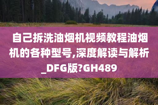 自己拆洗油烟机视频教程油烟机的各种型号,深度解读与解析_DFG版?GH489