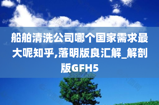 船舶清洗公司哪个国家需求最大呢知乎,落明版良汇解_解剖版GFH5