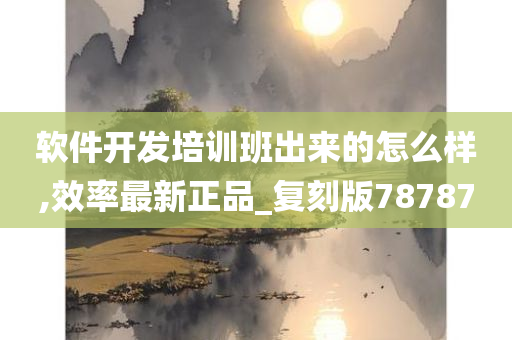 软件开发培训班出来的怎么样,效率最新正品_复刻版78787