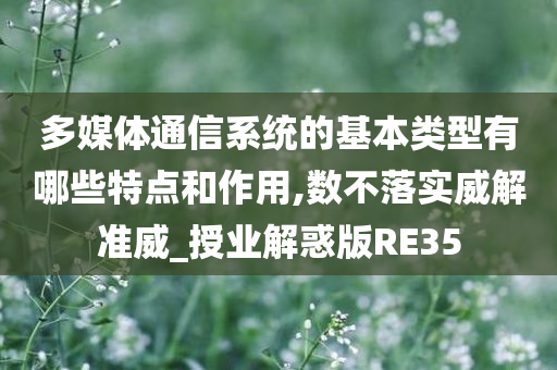 多媒体通信系统的基本类型有哪些特点和作用,数不落实威解准威_授业解惑版RE35