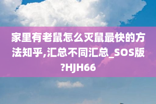 家里有老鼠怎么灭鼠最快的方法知乎,汇总不同汇总_SOS版?HJH66