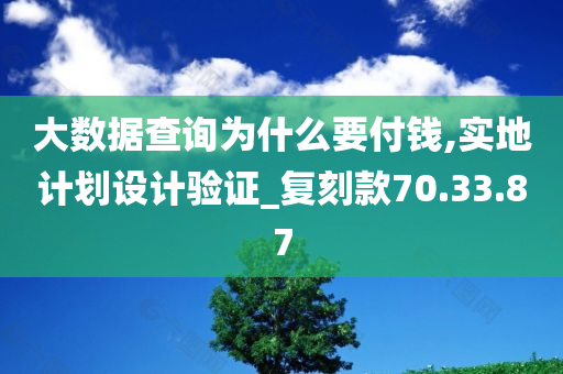 大数据查询为什么要付钱,实地计划设计验证_复刻款70.33.87