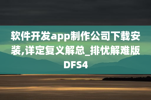 软件开发app制作公司下载安装,详定复义解总_排忧解难版DFS4