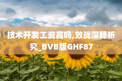 技术开发工资高吗,效战深释析究_BVB版GHF87