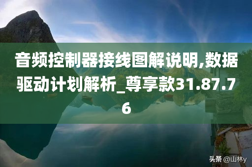 音频控制器接线图解说明,数据驱动计划解析_尊享款31.87.76