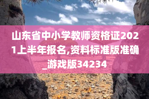 山东省中小学教师资格证2021上半年报名,资料标准版准确_游戏版34234