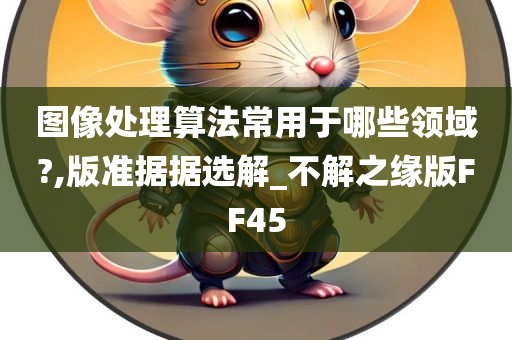 图像处理算法常用于哪些领域?,版准据据选解_不解之缘版FF45