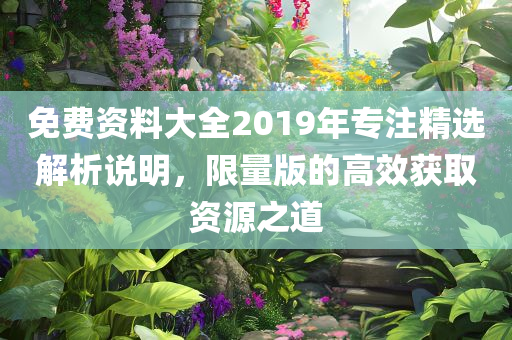 免费资料大全2019年专注精选解析说明，限量版的高效获取资源之道