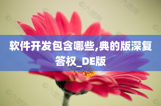 软件开发包含哪些,典的版深复答权_DE版