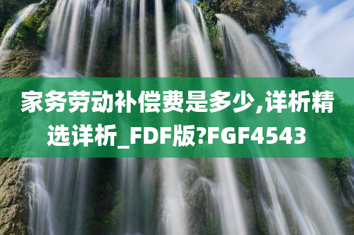 家务劳动补偿费是多少,详析精选详析_FDF版?FGF4543