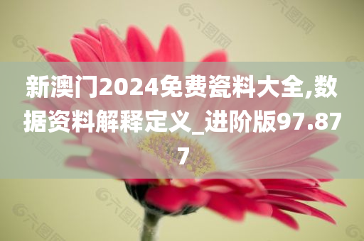 新澳门2024免费瓷料大全,数据资料解释定义_进阶版97.877