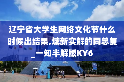 辽宁省大学生网络文化节什么时候出结果,域新实解的同总复_一知半解版KY6