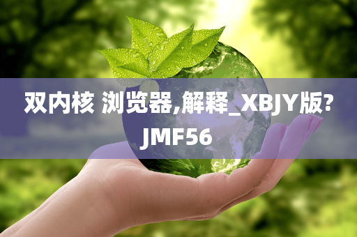 双内核 浏览器,解释_XBJY版?JMF56