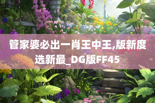 管家婆必出一肖王中王,版新度选新最_DG版FF45