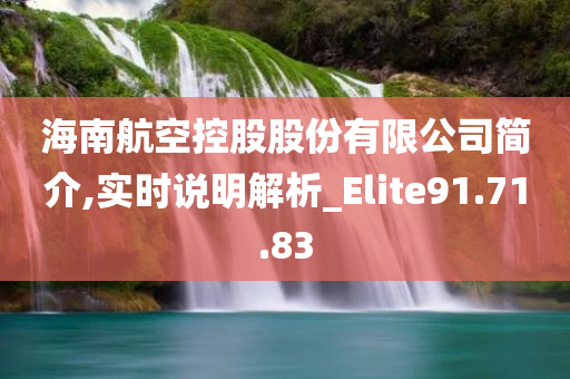 海南航空控股股份有限公司简介,实时说明解析_Elite91.71.83