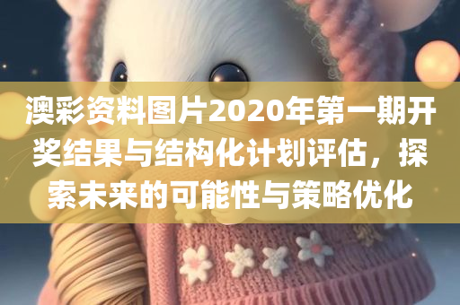 澳彩资料图片2020年第一期开奖结果与结构化计划评估，探索未来的可能性与策略优化