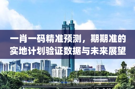 一肖一码精准预测，期期准的实地计划验证数据与未来展望