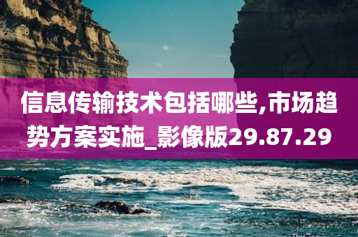 信息传输技术包括哪些,市场趋势方案实施_影像版29.87.29