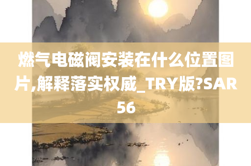 燃气电磁阀安装在什么位置图片,解释落实权威_TRY版?SAR56