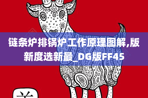 链条炉排锅炉工作原理图解,版新度选新最_DG版FF45