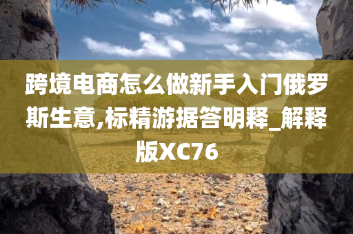 跨境电商怎么做新手入门俄罗斯生意,标精游据答明释_解释版XC76