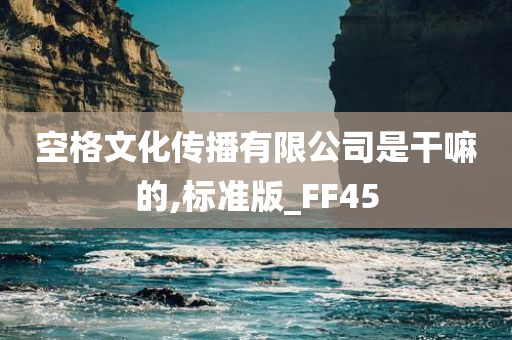 空格文化传播有限公司是干嘛的,标准版_FF45