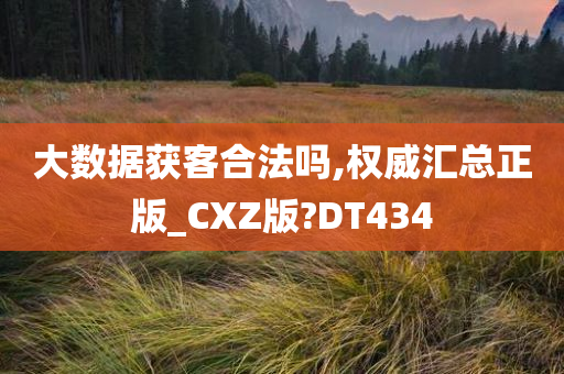 大数据获客合法吗,权威汇总正版_CXZ版?DT434