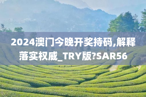 2024澳门今晚开奖持码,解释落实权威_TRY版?SAR56