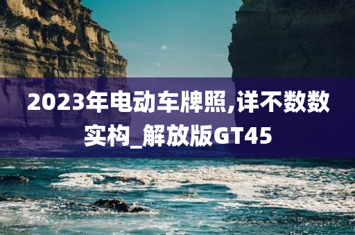 2023年电动车牌照,详不数数实构_解放版GT45