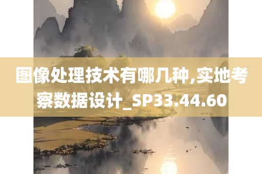 图像处理技术有哪几种,实地考察数据设计_SP33.44.60