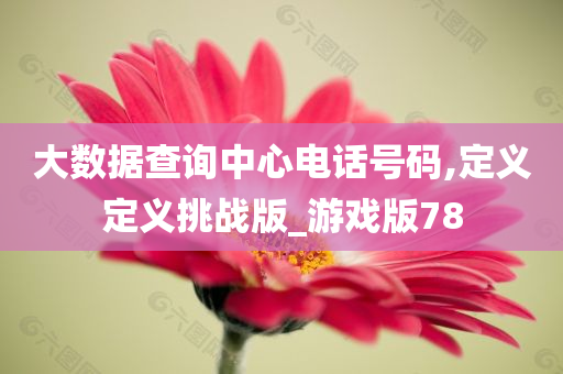 大数据查询中心电话号码,定义定义挑战版_游戏版78