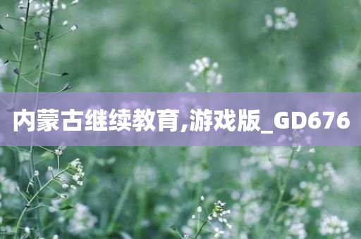 内蒙古继续教育,游戏版_GD676