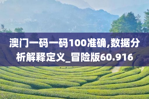 澳门一码一码100准确,数据分析解释定义_冒险版60.916