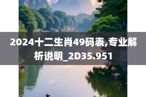 2024十二生肖49码表,专业解析说明_2D35.951