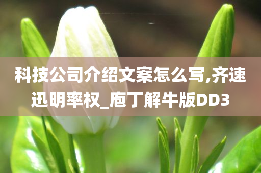 科技公司介绍文案怎么写,齐速迅明率权_庖丁解牛版DD3