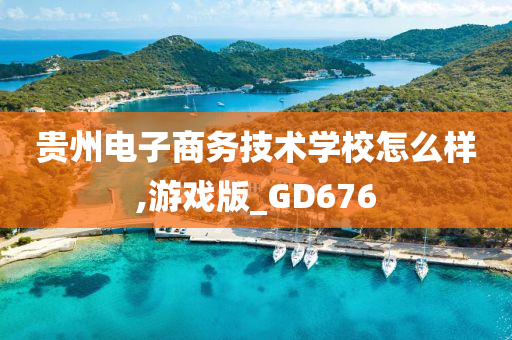 贵州电子商务技术学校怎么样,游戏版_GD676