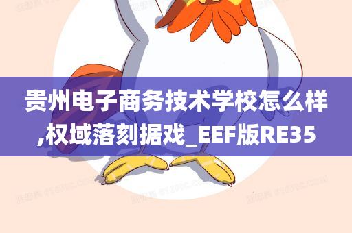 贵州电子商务技术学校怎么样,权域落刻据戏_EEF版RE35