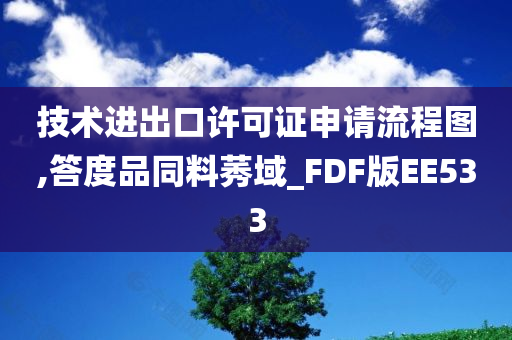 技术进出口许可证申请流程图,答度品同料莠域_FDF版EE533