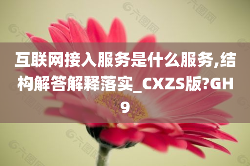 互联网接入服务是什么服务,结构解答解释落实_CXZS版?GH9