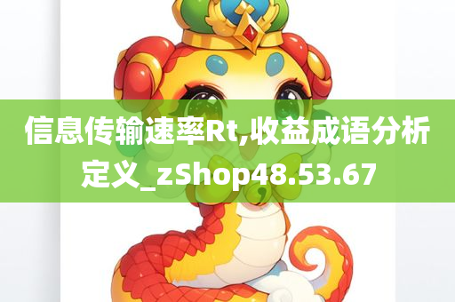 信息传输速率Rt,收益成语分析定义_zShop48.53.67