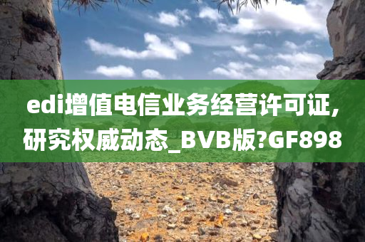 edi增值电信业务经营许可证,研究权威动态_BVB版?GF898