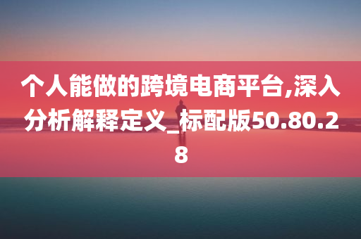 个人能做的跨境电商平台,深入分析解释定义_标配版50.80.28