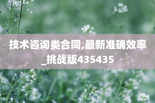 技术咨询类合同,最新准确效率_挑战版435435