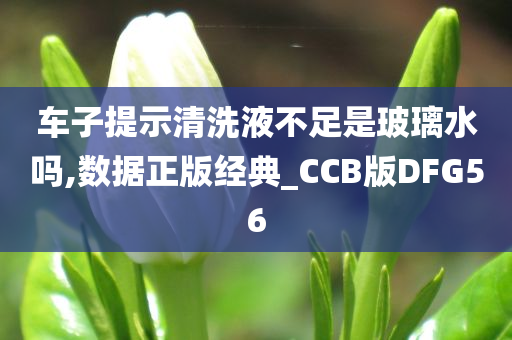 车子提示清洗液不足是玻璃水吗,数据正版经典_CCB版DFG56