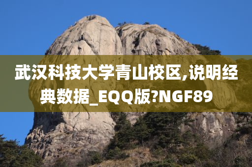 武汉科技大学青山校区,说明经典数据_EQQ版?NGF89