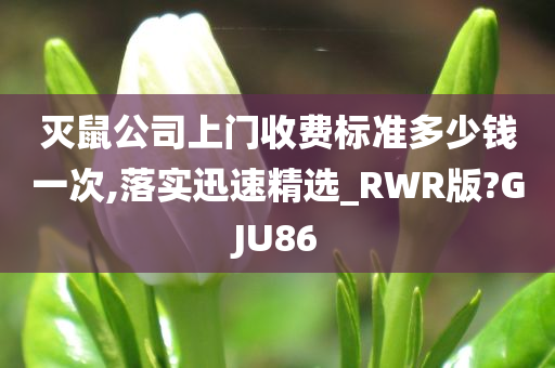 灭鼠公司上门收费标准多少钱一次,落实迅速精选_RWR版?GJU86